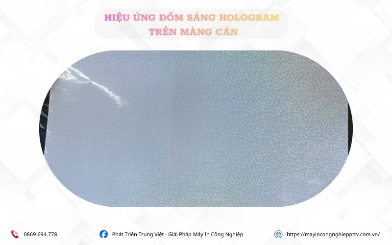 Hiệu ứng 7 màu đốm sáng hologram trên màng cán